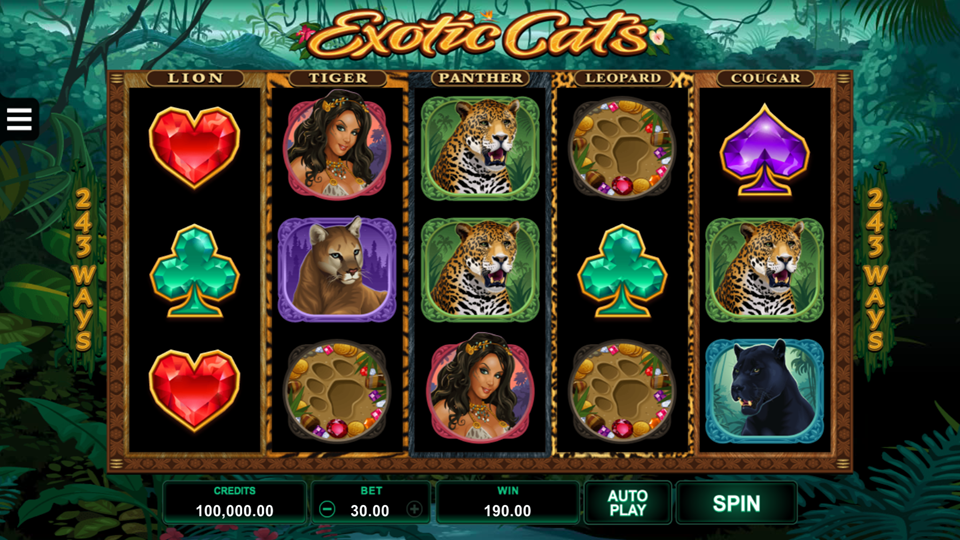 Slot cats