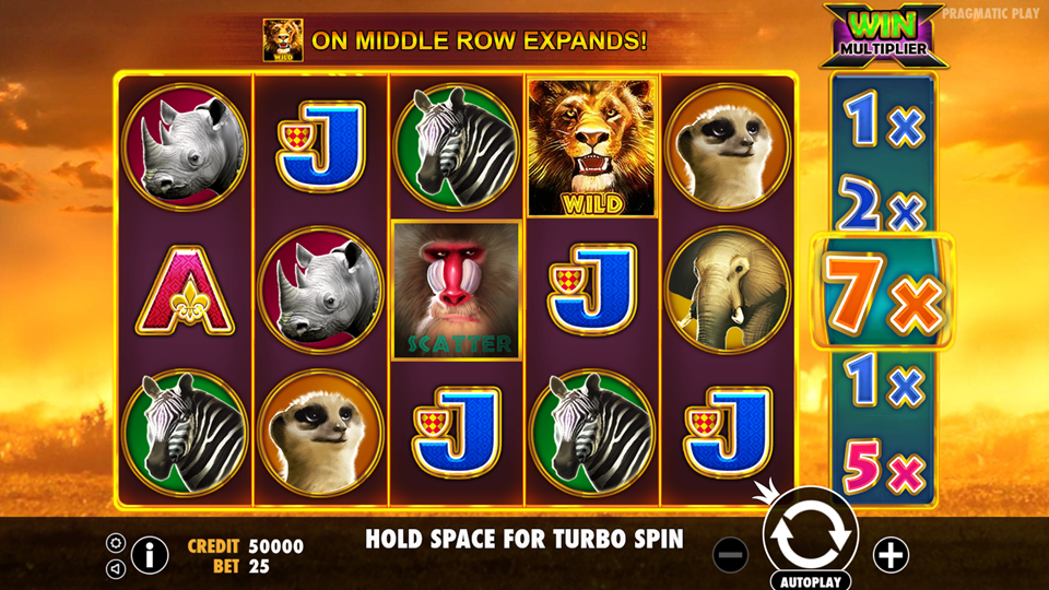 Pragmatic Play Hot Safari Slot Review