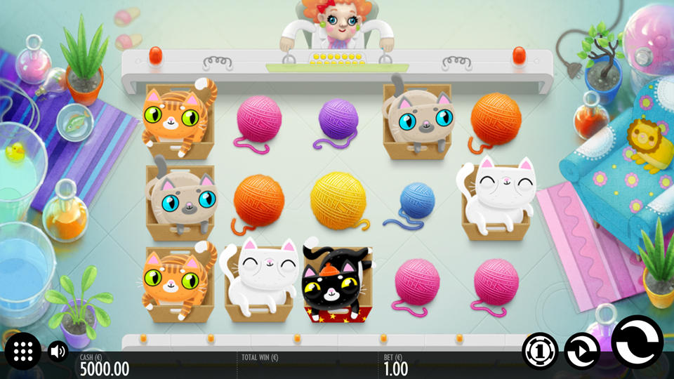Thunderkick Not enough Kittens Slot Review