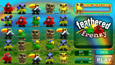 Big Time Gaming Feathered Frenzy Slot Review