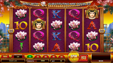 Lightning Box Fortune Pays Slot Review