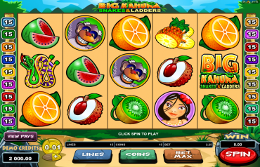 Microgaming Big Kahuna Snakes & Ladders Slot Review
