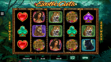 Microgaming Exotic Cats Slot Review