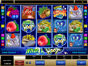 Microgaming What a Hoot Slot Review