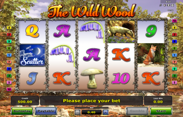 Novomatic The Wild Wood Slot Review