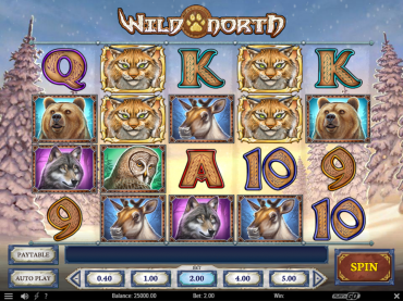 Play’n Go Wild North Slot Review